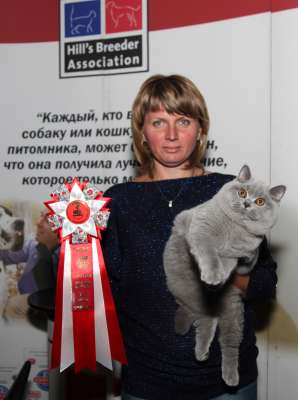 �������� ����� '������� ���-�����' 30 ������-1 ������� 2013., WCF-����� 3915